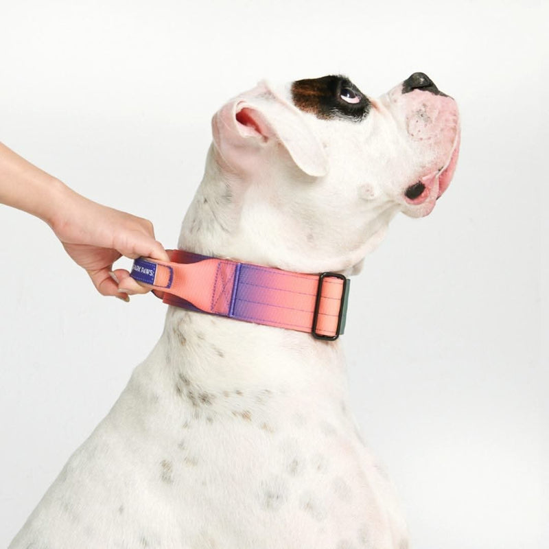 Collier tactique pour chien - Kaléidoscope (2"/5cm)