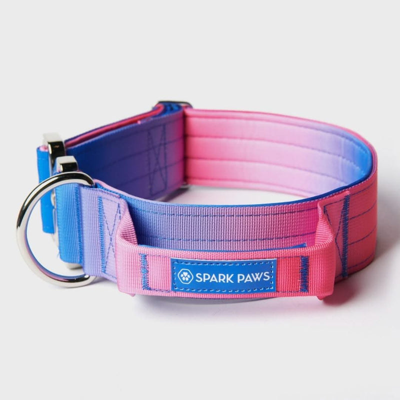 Collier tactique pour chien - Cône de neige (2"/5cm)
