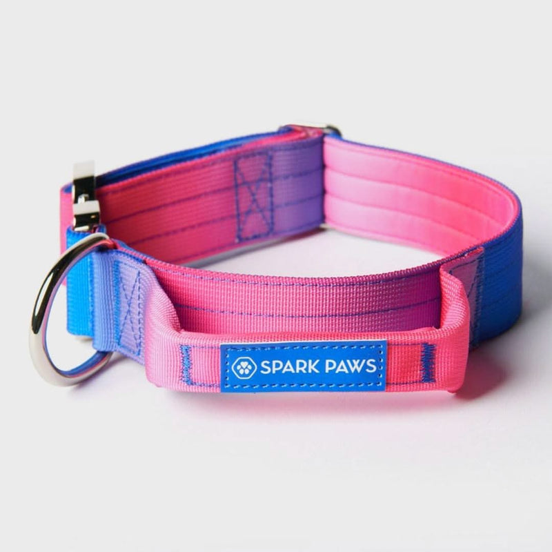 Collier tactique pour chien - Cône de neige (1.5"/4cm)