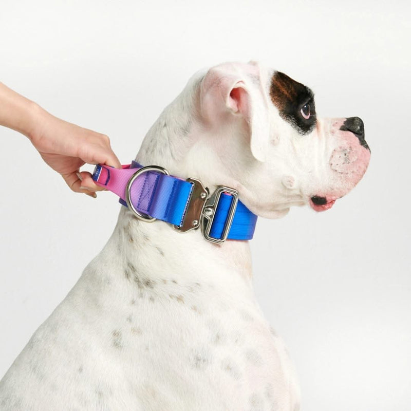 Collier tactique pour chien - Cône de neige (2"/5cm)