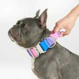 Collier tactique pour chien - Multi-couleur (1.5"/4cm)
