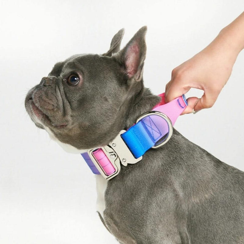Collier tactique pour chien - Multi-couleur (1.5"/4cm)
