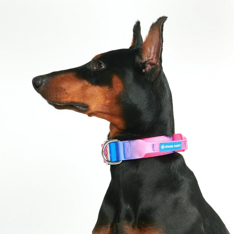 Collier tactique pour chien - Cône de neige (1.5"/4cm)
