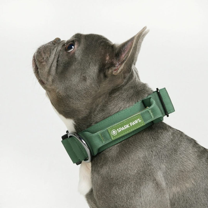 Collier tactique pour chien - Vert armée (1.5"/4cm)
