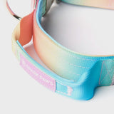 Collier tactique pour chien - Glaçage pastel (1.5"/4cm)