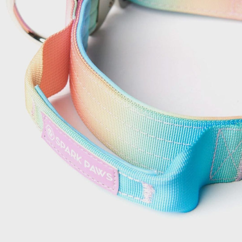 Collier tactique pour chien - Multi-couleur (1.5"/4cm)
