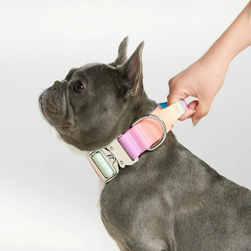 Collier tactique pour chien - Glaçage pastel (1.5"/4cm)