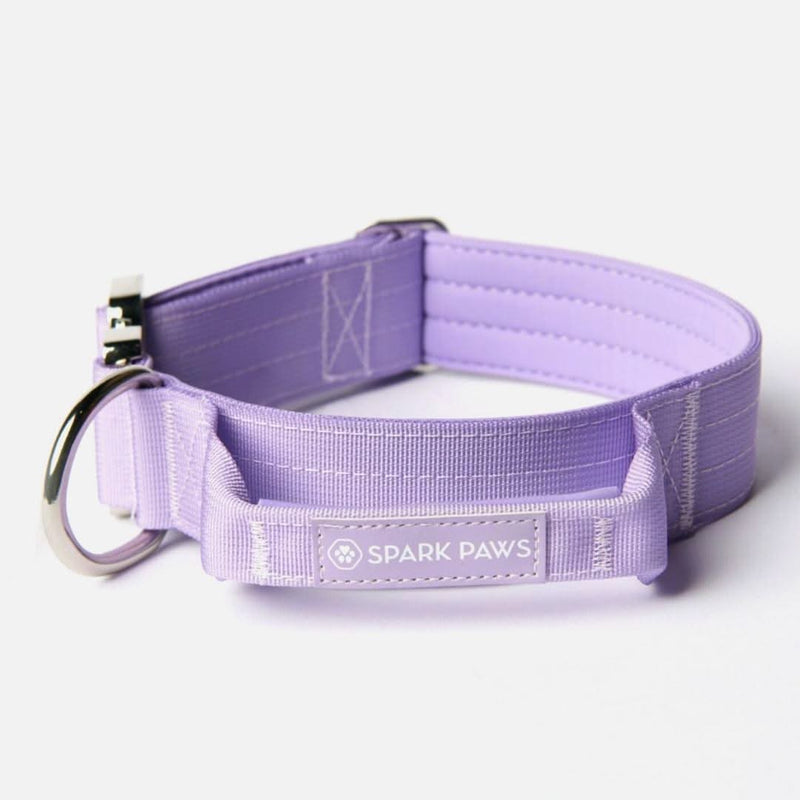 Ensemble de colliers tactiques pour chien - Lilas (1.5"/4cm)