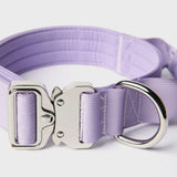 Ensemble de colliers tactiques pour chien - Lilas (1.5"/4cm)