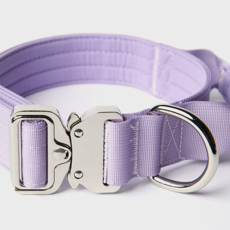 Ensemble de colliers tactiques pour chien - Lilas (1.5"/4cm)