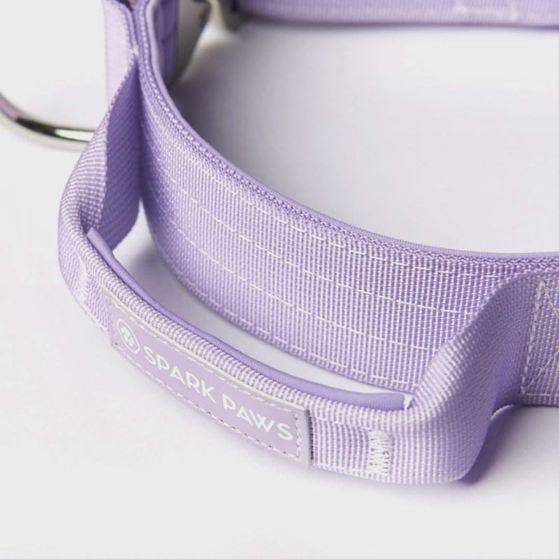 Ensemble de colliers tactiques pour chien - Lilas (1.5"/4cm)