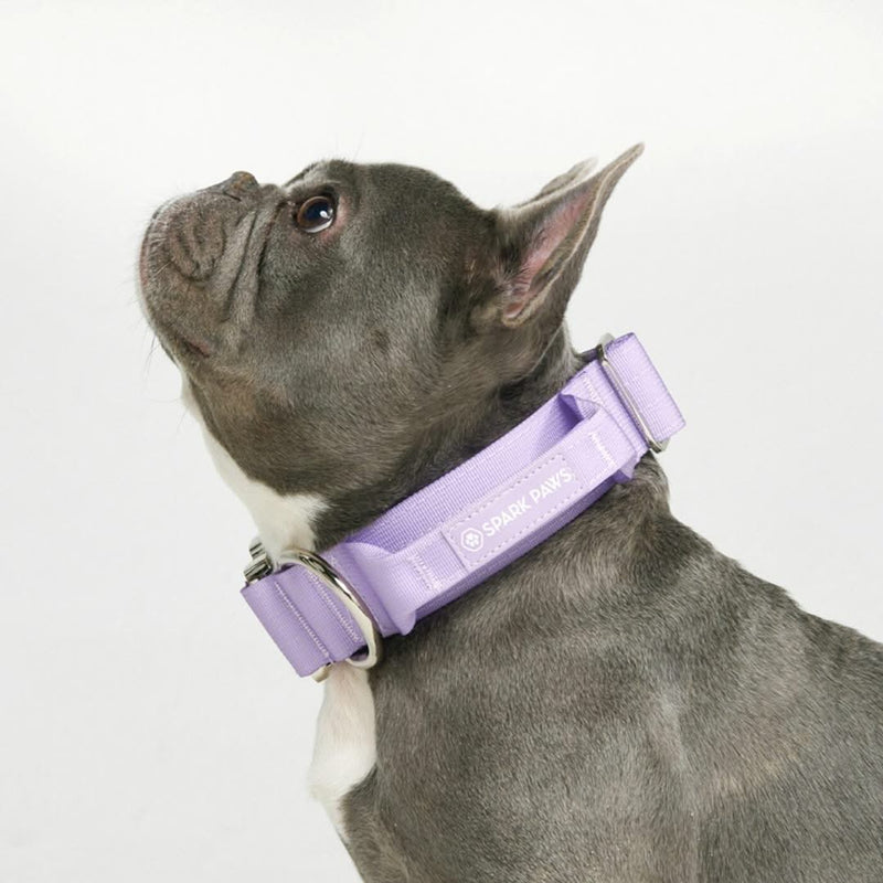 Collier tactique pour chien - Lilas (1.5"/4cm)