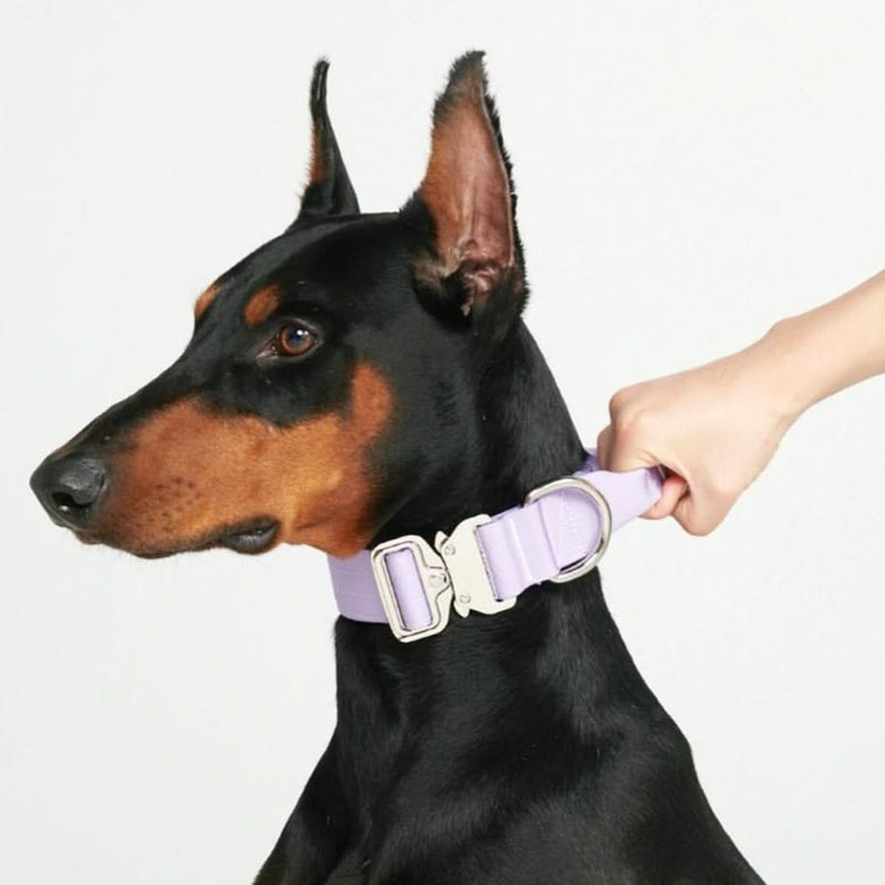 Collier tactique pour chien - Lilas (1.5"/4cm)