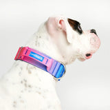 Collier tactique pour chien - Cône de neige (2"/5cm)