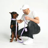 Collier tactique pour chien - Lilas (1.5"/4cm)
