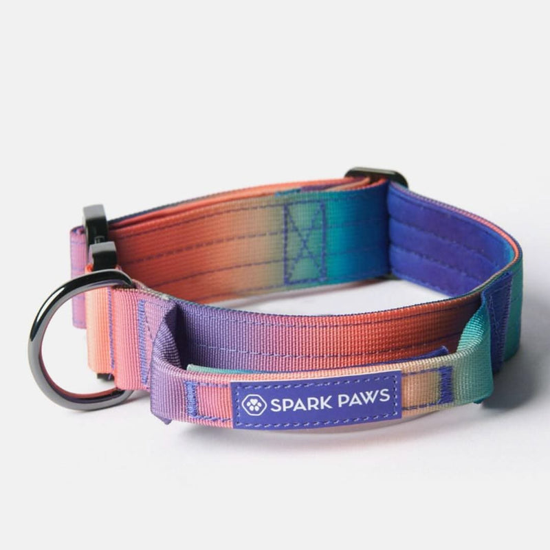 Collier tactique pour chien - Multi-couleur (1.5"/4cm)