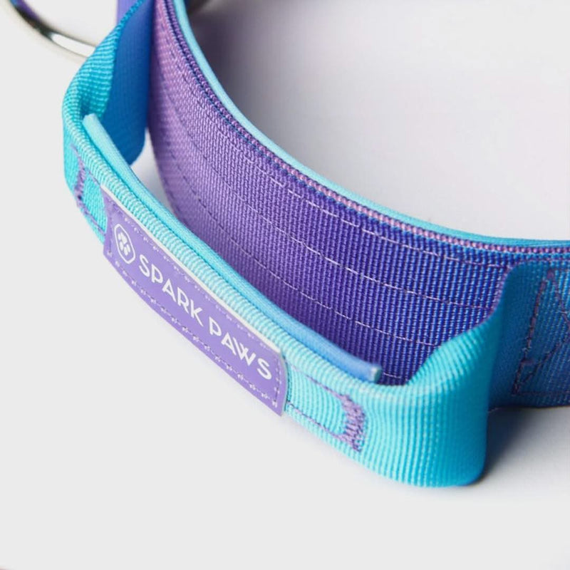 Collier tactique pour chien - Rétro des années 90 (1.5"/4cm)