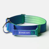 Collier tactique pour chien - Multi-couleur (1.5"/4cm)