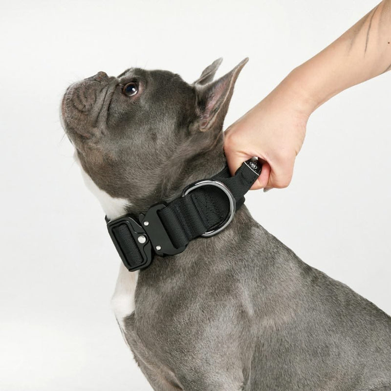 Collier tactique pour chien - Noir (1.5"/4cm)