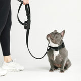 Collier tactique pour chien - Noir (1.5"/4cm)