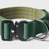 Ensemble de colliers tactiques pour chien - Vert armée (1.5"/4cm)