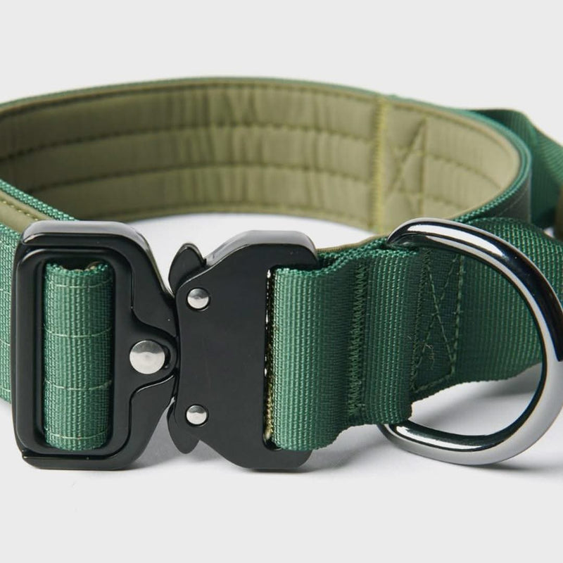 Ensemble de colliers tactiques pour chien - Vert armée (1.5"/4cm)