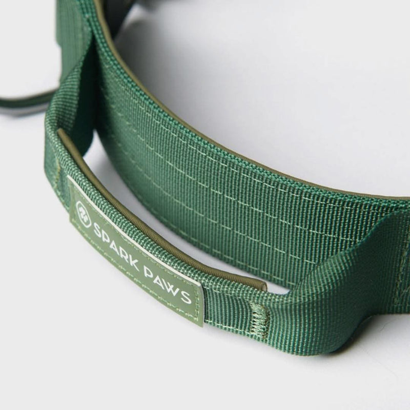 Collier tactique pour chien - Vert armée (1.5"/4cm)