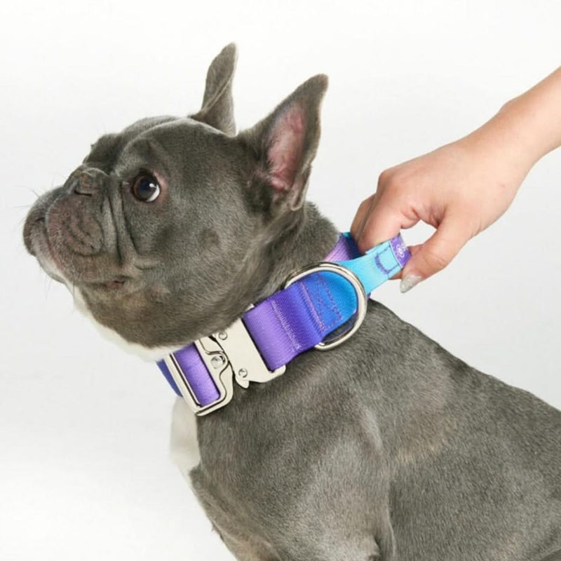 Collier tactique pour chien - Rétro des années 90 (1.5"/4cm)