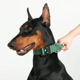 Collier tactique pour chien - Vert armée (1.5"/4cm)