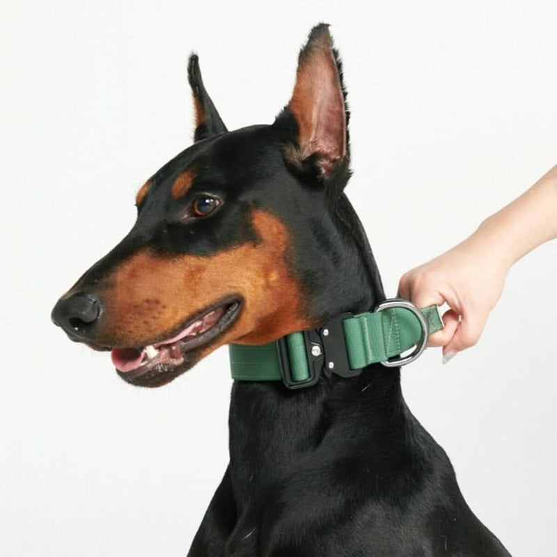 Collier tactique pour chien - Vert armée (1.5"/4cm)