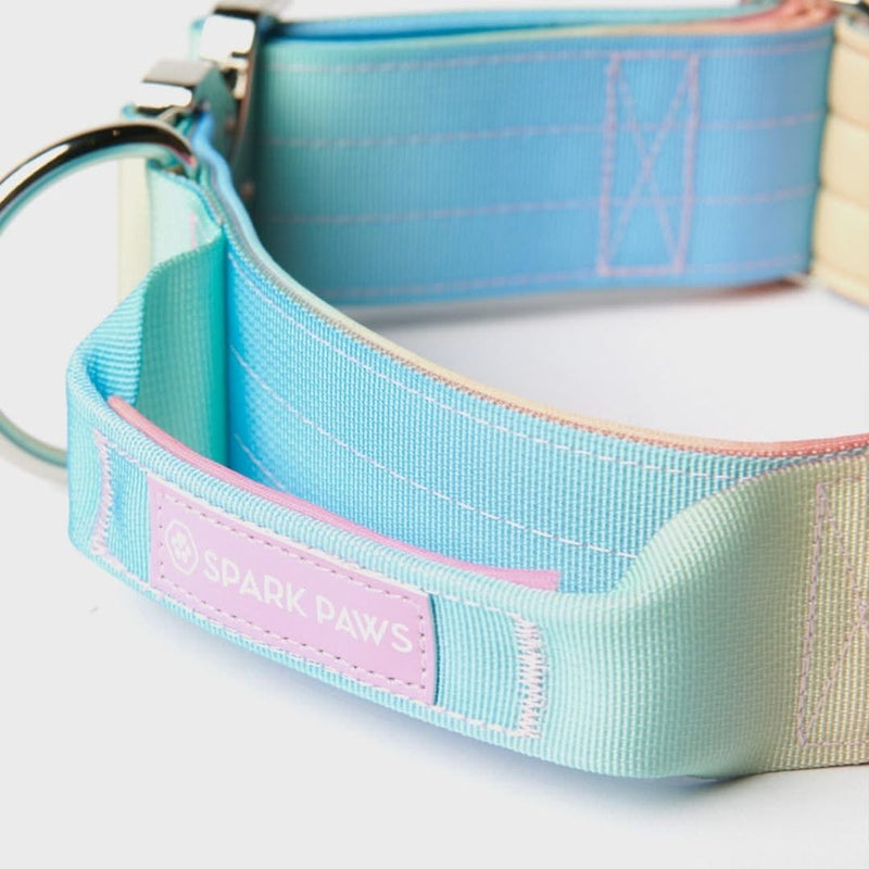 Collier tactique pour chien - Glaçage pastel