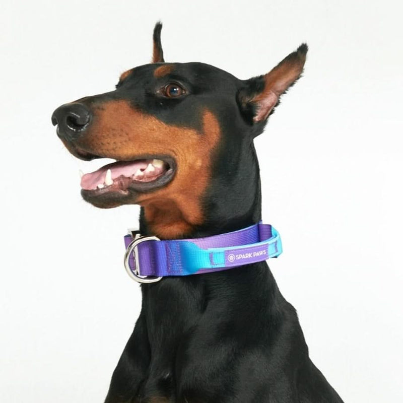 Collier tactique pour chien - Rétro des années 90 (1.5"/4cm)