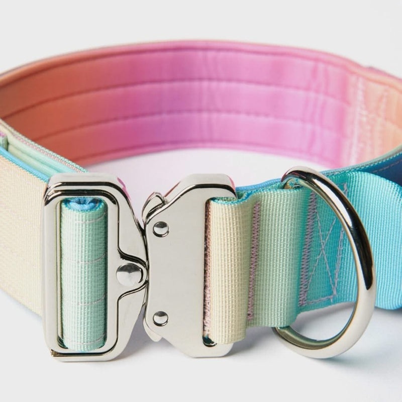 Collier tactique pour chien - Glaçage pastel