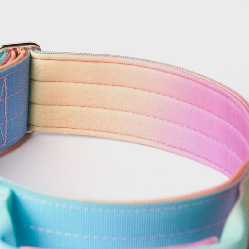 Collier tactique pour chien - Glaçage pastel