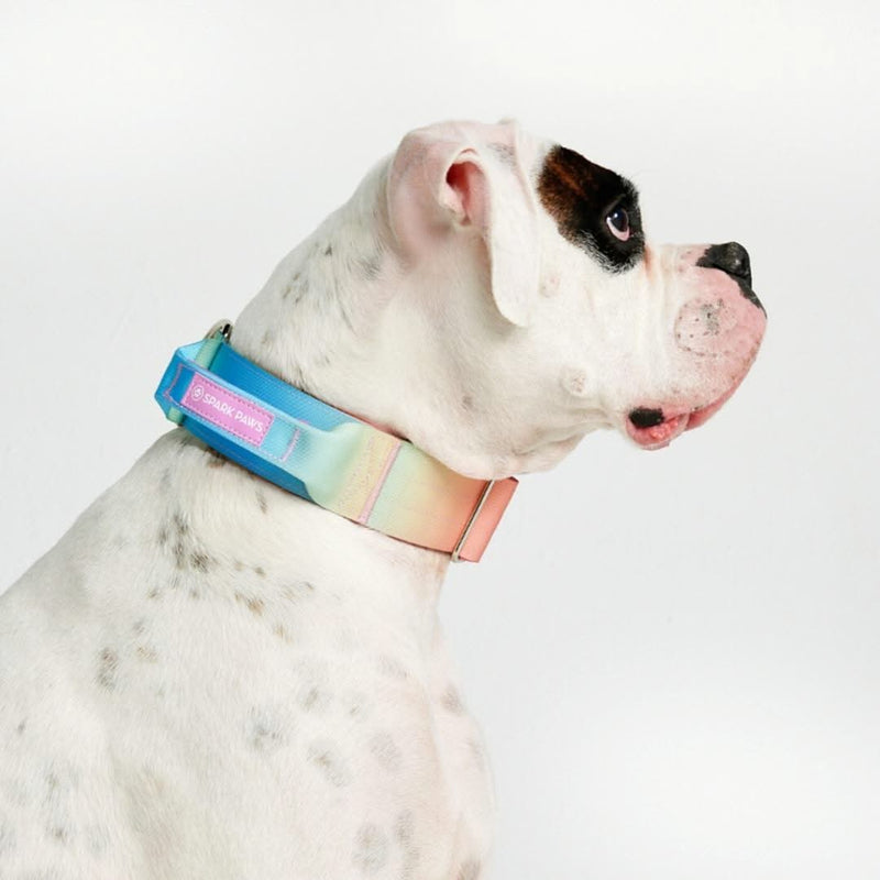 Collier tactique pour chien - Glaçage pastel