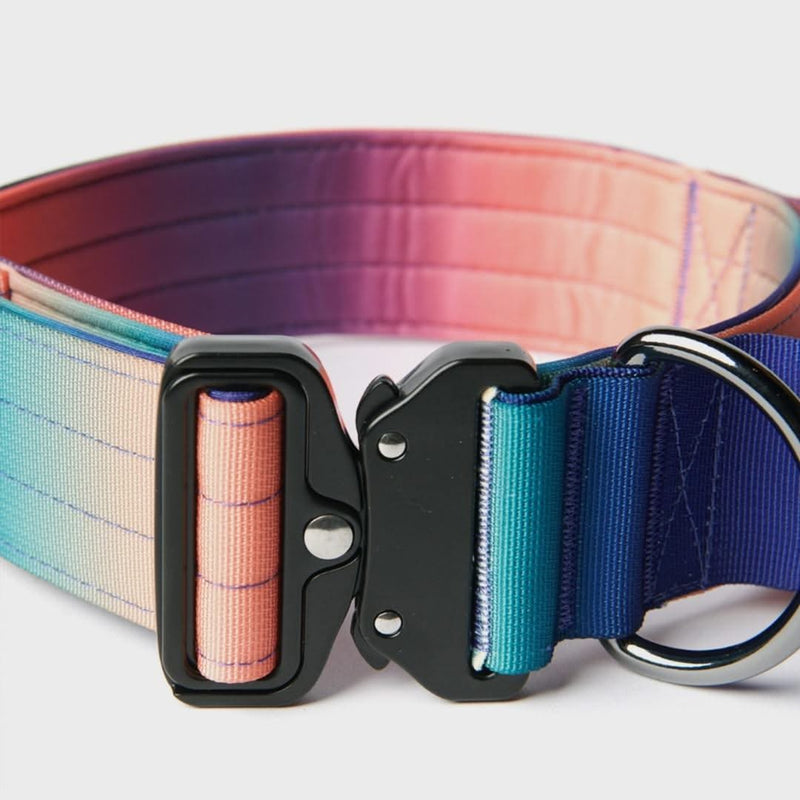 Collier tactique pour chien - Kaléidoscope (2"/5cm)