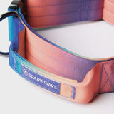 Collier tactique pour chien - Kaléidoscope (2"/5cm)