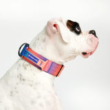 Collier tactique pour chien - Kaléidoscope (2"/5cm)